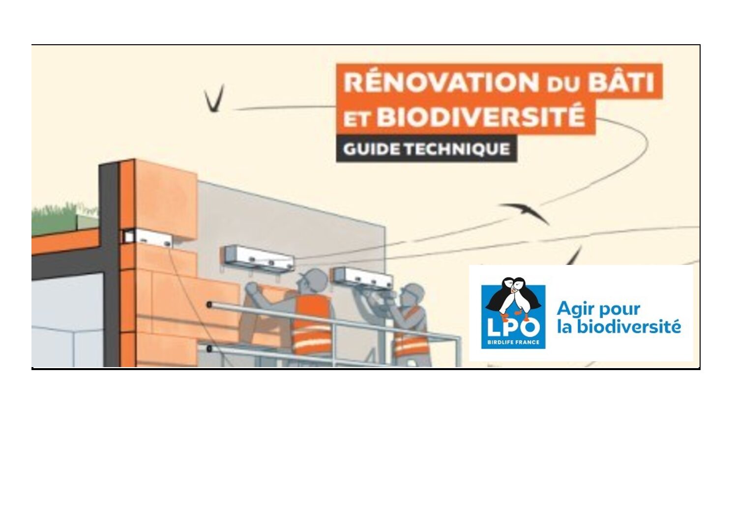 Espèces protégées inféodées au bâti.